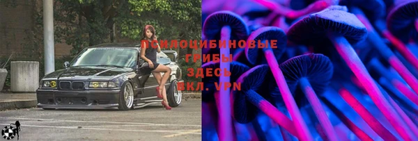 соль курить ск Михайловск