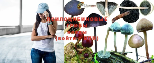 марки nbome Арсеньев