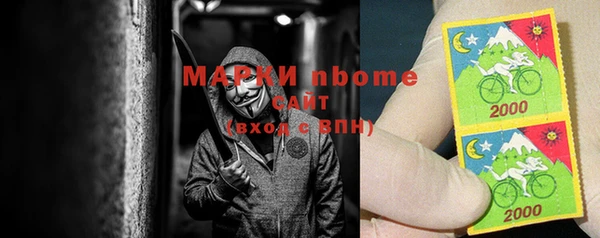 сатива Балахна