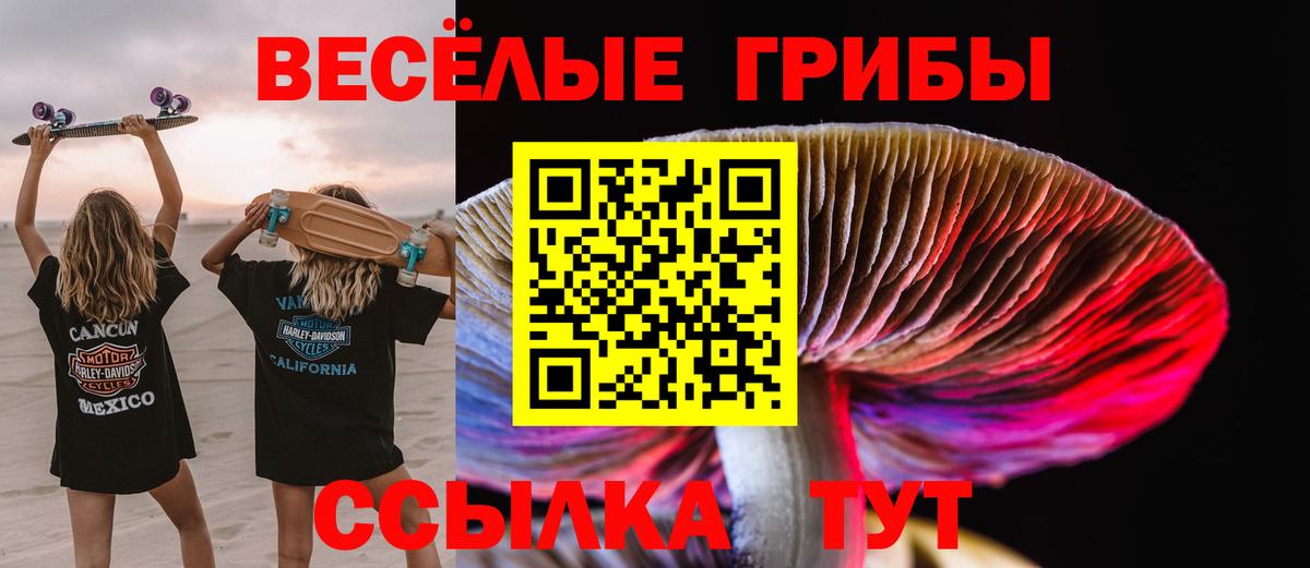 Галлюциногенные грибы ЛСД  купить закладку  Коломна  Вход с VPN 
